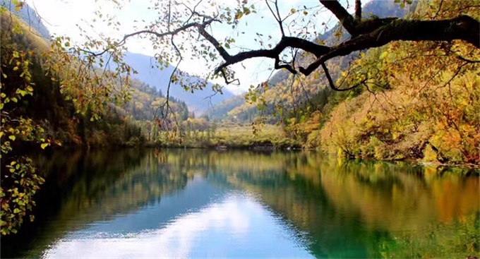 NG大舞台(中国游)相信品牌的实力